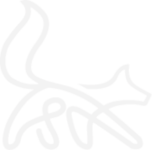 Transparent fox
